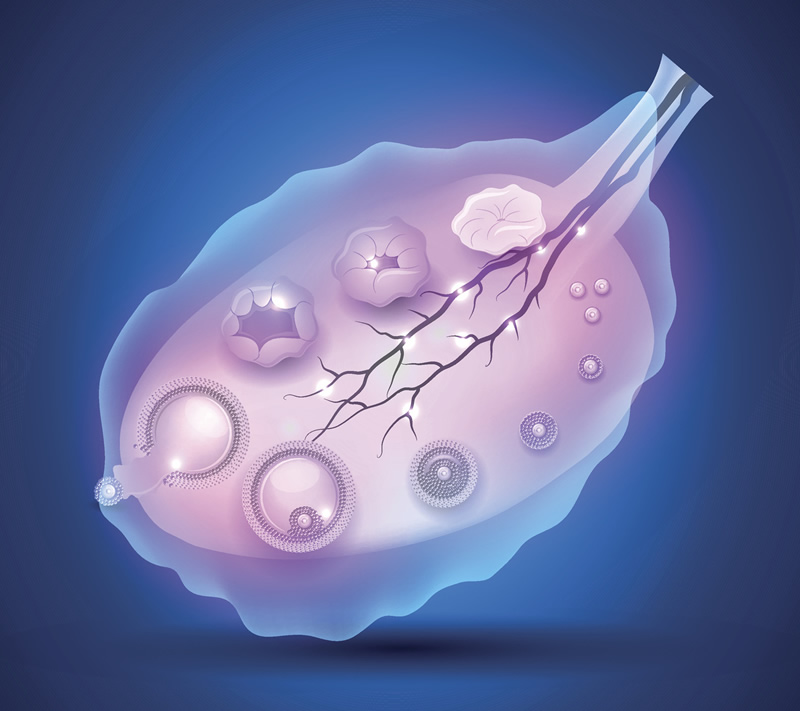 呼和浩特有哪几个三代试管医院？附详细医院情况